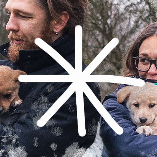 Ziemas vakars ar koncerta elementiemNEKAS JAUNS